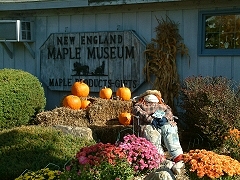 Maple Museum
